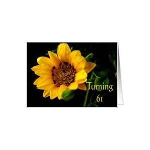  61st Birthday, yellow Gazania Card Toys & Games