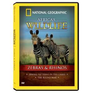  National Geographic Africas Wildlife Collection Zebras 