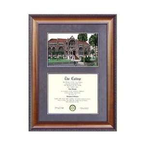  University of Texas, Medical Suede Mat Diploma Frame with 