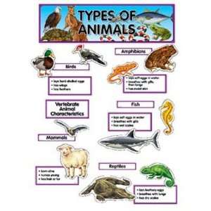   Teaching Press CTP1763 Types Of Animals Mini Bb Set Electronics