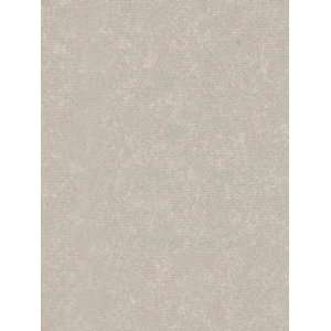  Wallpaper Patton Wallcovering Focal Point 7991952: Home 