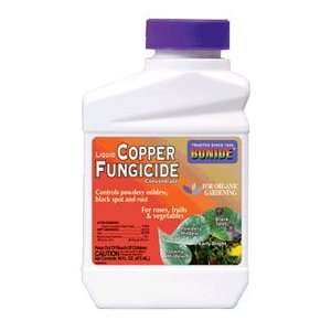  Bonide Liquid Copper Fungicide Concentrate Patio, Lawn 