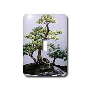  Trees   Bonsai Tree   Light Switch Covers   single toggle 