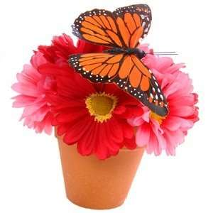  Butterfly Flower Type fragrance oil: Beauty