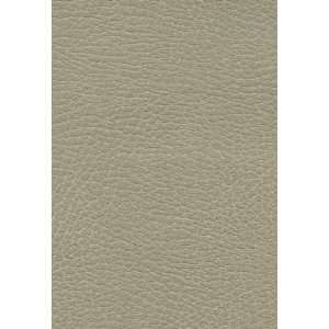  Brisa Distressed Dune by F Schumacher Fabric: Home 