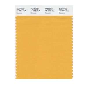  PANTONE SMART 14 0941X Color Swatch Card, Beeswax: Home 