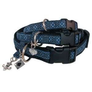  Diamond Dog Collar & Charm in Blue