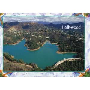  HOLLYWOOD POSTCARD C45   From Hibiscus Express: Everything 