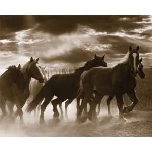  Monte Nagler   Running Horses & Sunbeams