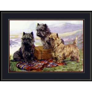    Picture Print Cairn Terrier Puppy Dogs Art: Everything Else