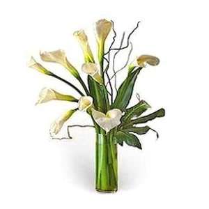  White Callas: Baby