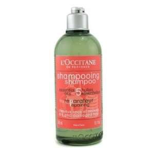  LOccitane Repairing Shampoo for Dry & Damaged Hair 