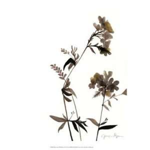  Watermark Wildflowers II by Jennifer Goldberger 13x16 