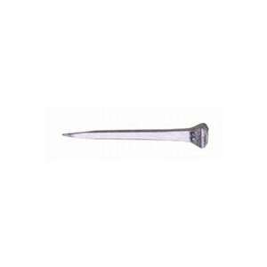   : Diamond Brands 6CITYM100 City Horseshoe Nails CH6: Home Improvement