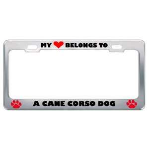 My Heart Belongs To A Cane Corso Dog Animals Pets Metal License Plate 