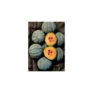  50 Heirloom Cantaloupe Heart Of Gold Seeds: Everything 