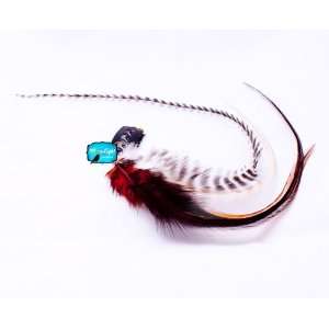  Honeypie Style Feather Extension Hair Clip: Beauty