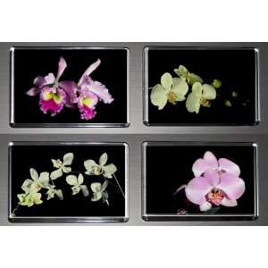 Gift Boxed Set of 4 Fridge Magnets Orchids 1  Kitchen 