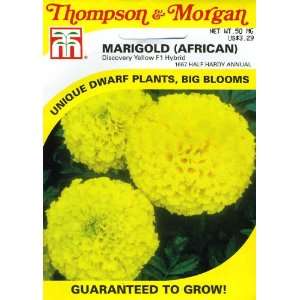  Thompson & Morgan 1667 Marigold Discovery Yellow Hybrid (African 