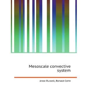    Mesoscale convective system Ronald Cohn Jesse Russell Books