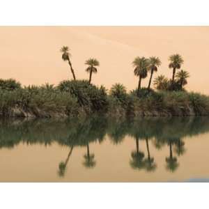 Umm El Ma Lake, Erg Awbari, Sahara Desert, Fezzan, Libya 
