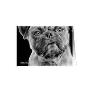  Smug Pug Dog Pencil and Oil Painting Blank Card Card 