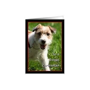  Happy Birthday Co worker Jack Russell Terrier Card Health 