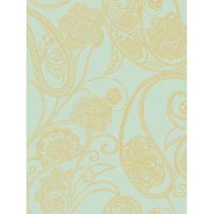   York Candice Olson Designs Dotted Paisley CO2033