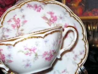   FRANCE PINK FLORAL Haviland & Co DOUBLE GOLD Tea Cup and Saucer  