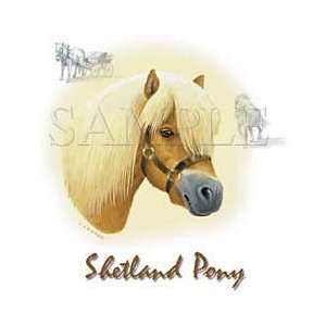 Shetland Pony Shirts