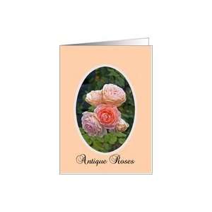  all purpose note card, Antique Roses Card Health 