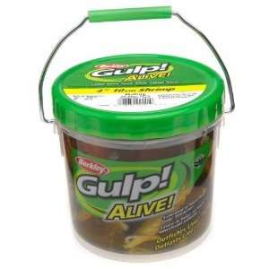   Berkley Gulp! Alive! 29 oz. Shrimp Bait Bucket: Sports & Outdoors