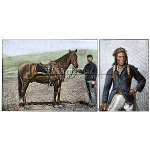 US Army survivors of Custers Last Stand   horse and scout, Curley 