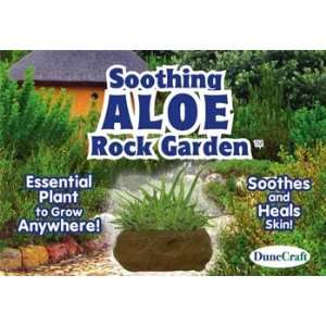    Dunecraft   Soothing Aloe Rock Garden (Science): Toys & Games