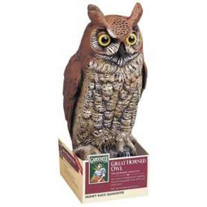  2 each: Dalen Great Horned Owl (OW 6): Home Improvement