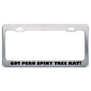 Got Peru Spiny Tree Rat? Animals Pets Metal License Plate Frame Holder 