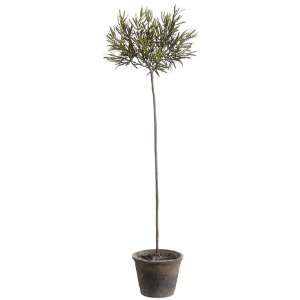 38 Rosemary Topiary Herb Silk Plant w/Clay Pot (case of 2)  