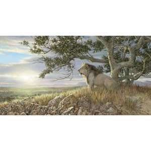  Ron Van Gilder   Morning Glory   Lion Canvas Giclee