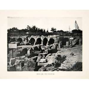  1906 Print Ancient Roman Palatine Ruins Rome Italy 