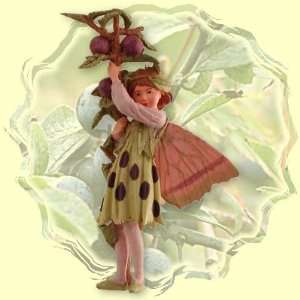  Flower Fairies by Cicely Mary Barker Sloe Fairy: Home 