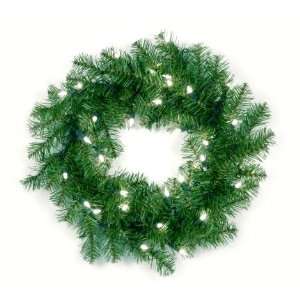 National Tree Company AP7 300 20W 20 Inch Aspen Spruce Wreath with 35 