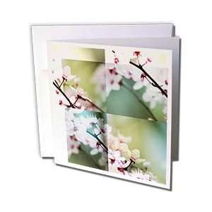  Patricia Sanders Flowers   Spring Cherry Blossom Abstract 