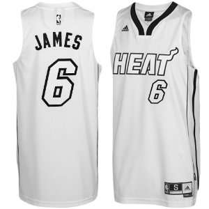  adidas LeBron James Miami Heat Whiteout Revolution 30 