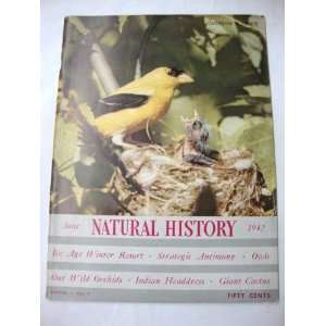  Natural History   Vol. L, No. 1   June 1942 American 