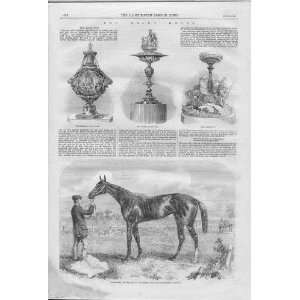 Ascot Races 1861 Winner And Cups: Home & Kitchen