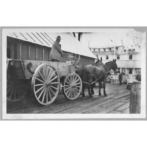  Man driving horse drawn wagon: Home & Kitchen
