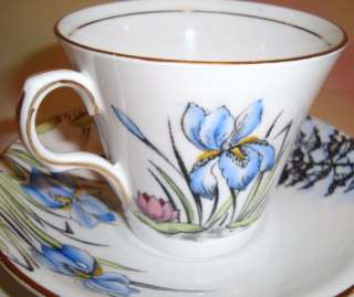 Elegant Handpainted Iris Scenic Melba Cup & Saucer  