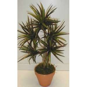 NEW! Bendable Yucca Plant (red/green):  Home & Kitchen