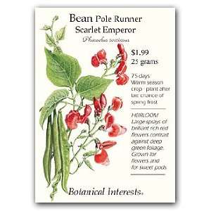  Scarlet Emperor Pole Bean Seeds Patio, Lawn & Garden