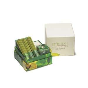  Fruits and Passion Influence Incense Kit, Green Tea Orchid 
